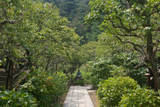 Kamakura 2007.jpg
